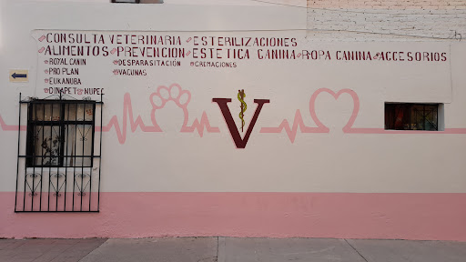 VETERINARIA VILLEGAS