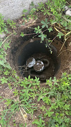 Photo n°21 de Fast Detection à Roeschwoog (Fournisseur d'équipements industriels)