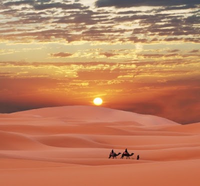 Photos of Sahara Excursions marrakech, Camel Trek from Marrakech and Morocco Desert Tours