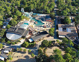 Photo n°56 de Camping Le Palace à Soulac-sur-Mer (Terrain pour camping-cars)