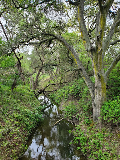 Tassajara Creek Regional Park - Thumbnail
