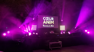 Photo n°2 de COEURANIM EVENT à Nancy (Prestataire de mariage)