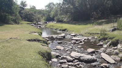Photos of Naguan Tica