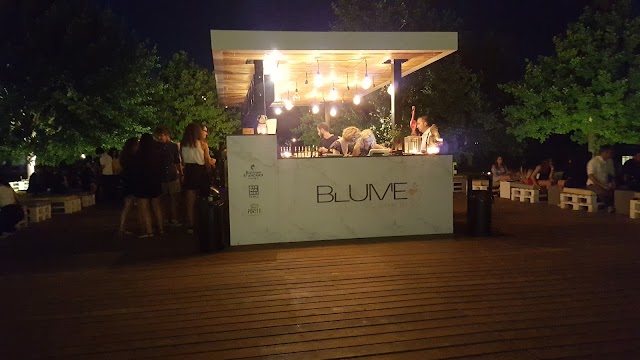 Blume Lounge