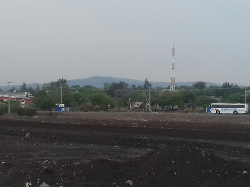 Pollería San Javier - Thumbnail
