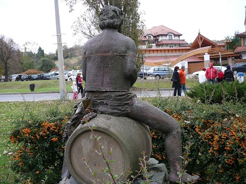 Wheelchair-Valley Children's Park, Author: Tímea Téglás