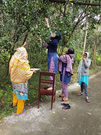 Photos of বাকলাই বাড়ী জুমা মসজিদ