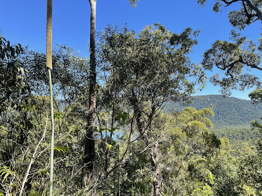 Mt Rooper Lookout - Thumbnail