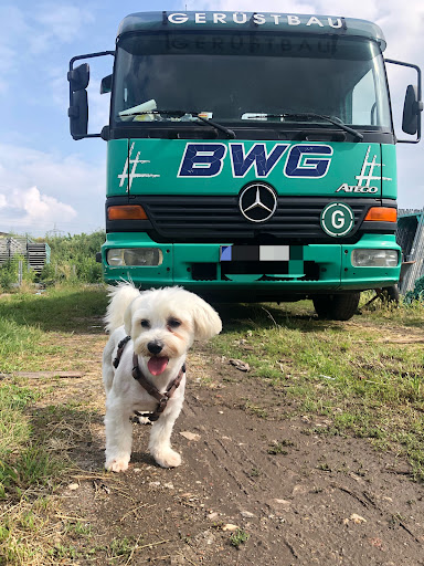 BWG Bauservice und Gerüstbau GmbH