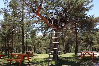 Kastamonu Urban Forest