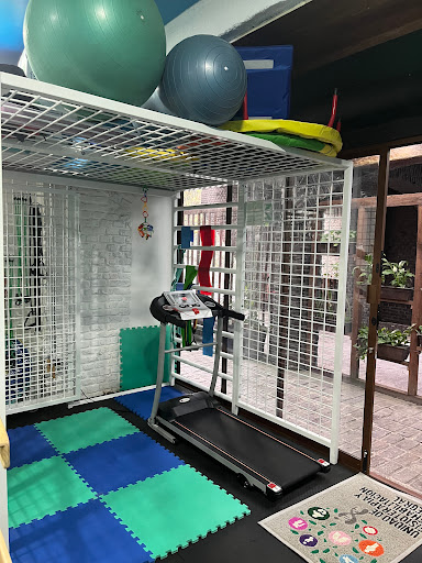 "Gaelan" Unidad de Fisioterapia y Rehabilitación Integral - Thumbnail
