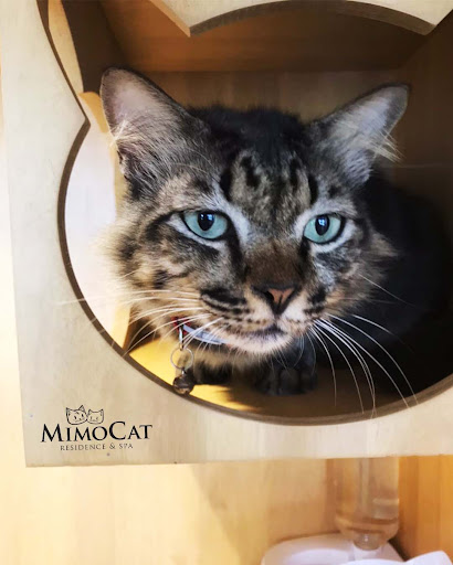 CAT HOTEL : MimoCat Residence & Spa