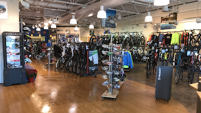 Brandywine Bikes