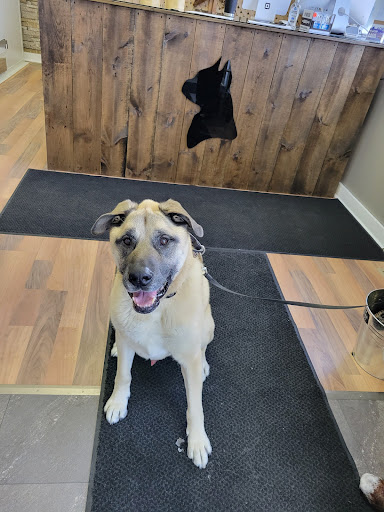 ADR Pet Stores - Orillia Gallery - Canada