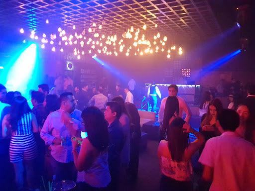 Dbar Mx - Visual