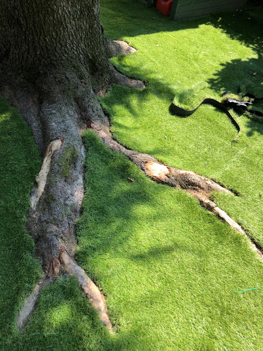 Sintegreen - Visual