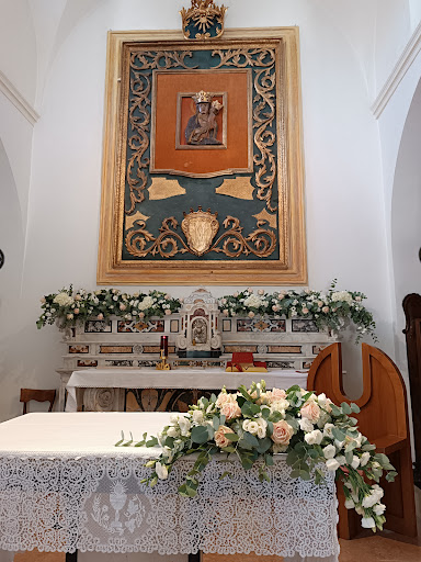 Piante e Fiori Pasquino - Thumbnail