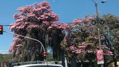 Photos of Calle 28c Norte Palac&eacute; Park