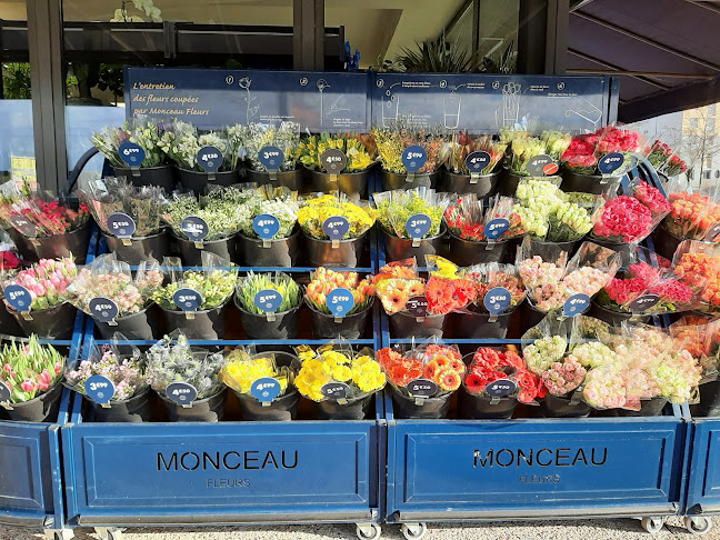 Monceau Fleurs - Fleuriste