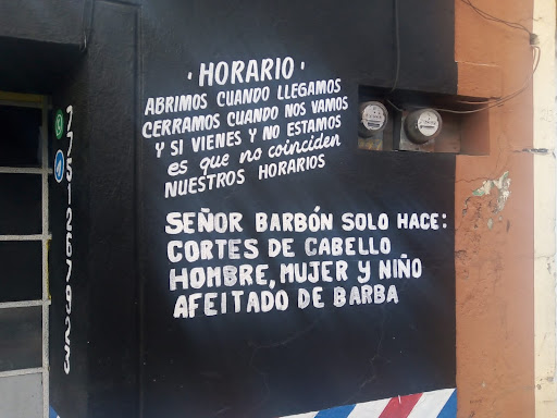 Peluquería señor barbon Gallery - Mexico