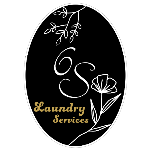 6S Laundry Services - Visual