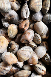 Photo n°72 de Merle Huîtres et Coquillages à Lyon (Restaurant français)