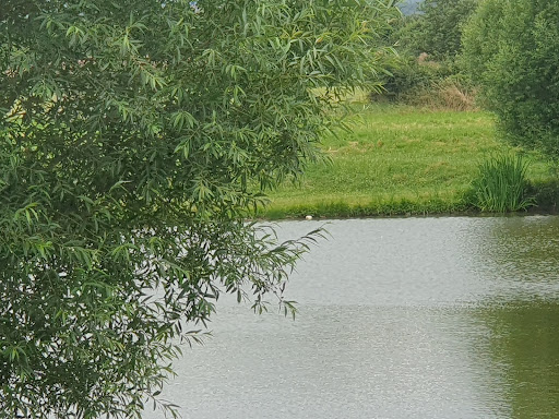 Etang Buya - Thumbnail