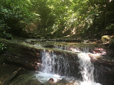 Photos of La Cangreja National Park
