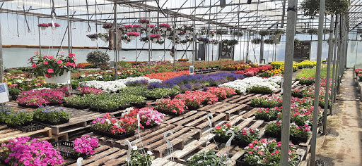 Roberts Greenhouse