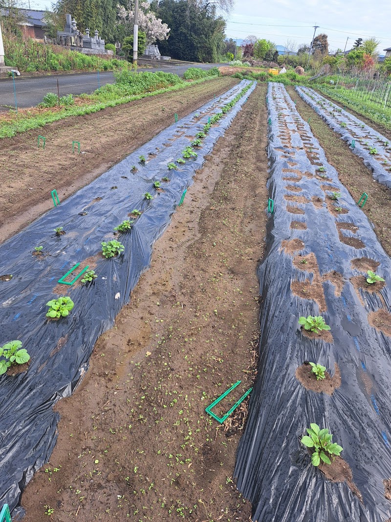 ハルちゃん農園