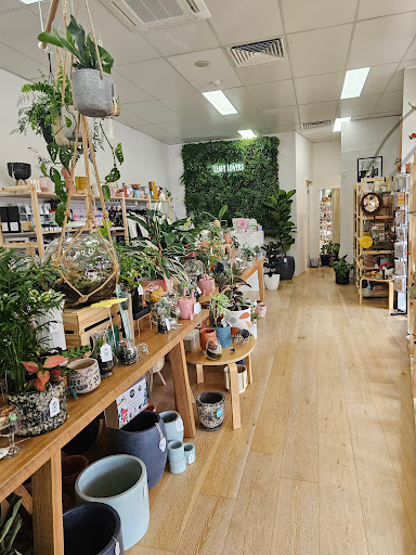 Leafy Lovers - Visual