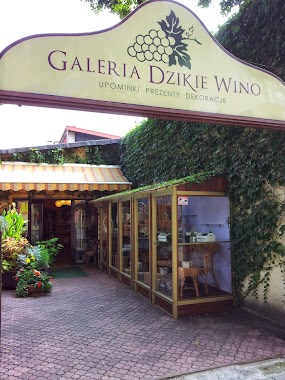 Remi Galeria Dzikie Wino, Author: Remi Galeria Dzikie Wino