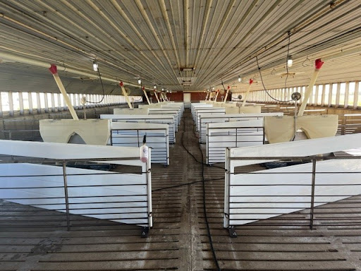 Advanced Livestock - Thumbnail