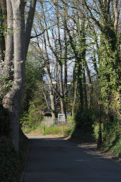 Photo n°16 de AFIM Immobilier au Cœur du Rebberg à Mulhouse (Agence immobilière)