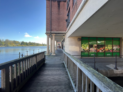 Siam Therapy Cardiff