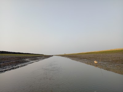 Photos of Kohelia River