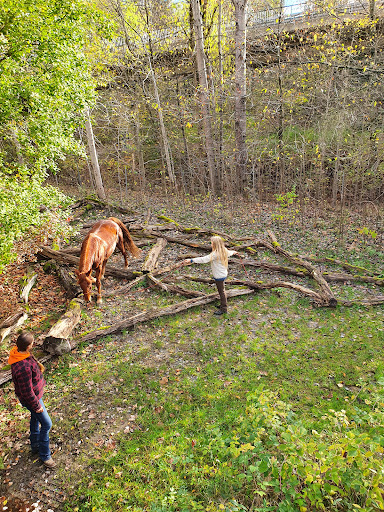 extreme trail pauwels - Thumbnail