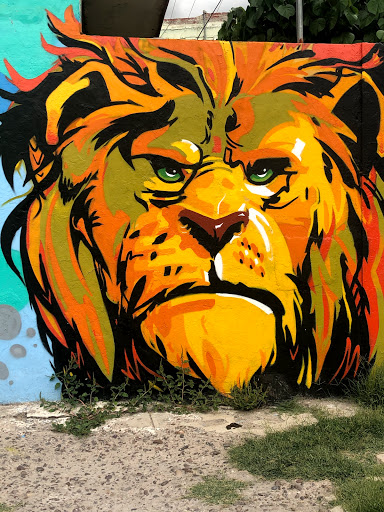 León de Spray