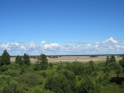 Photos of Papes ezera putnu vēro&scaron;anas tornis