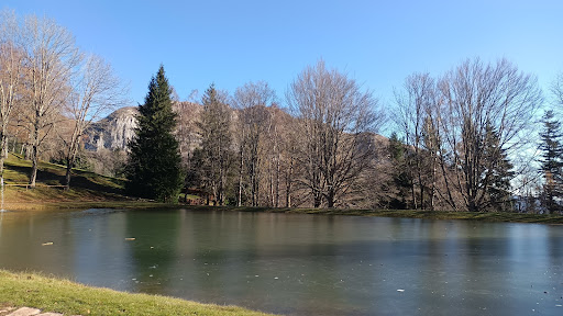 Orecchiella - Thumbnail