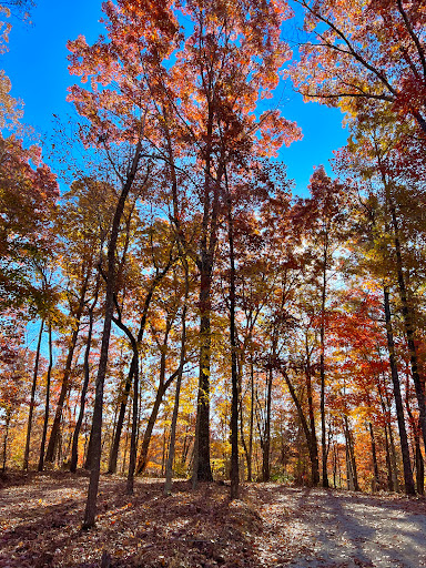 Fall Creek Falls Stables Campground - Thumbnail
