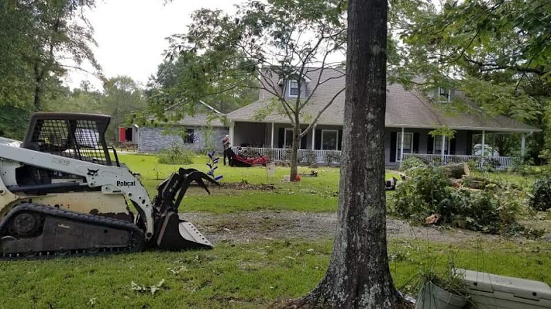 C.J. Tree Service