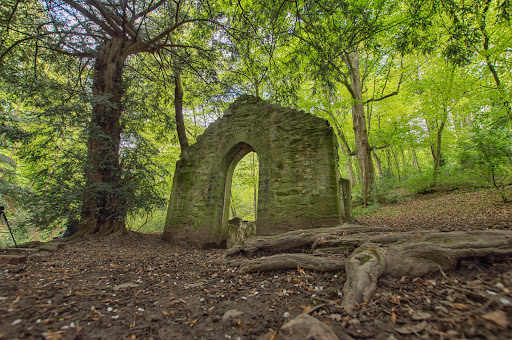 Rectory Wood - Visual