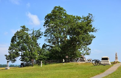 The Copse of Trees