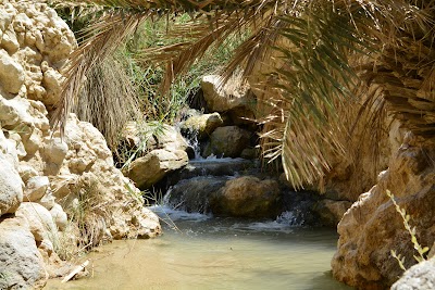 Oasis Chebika