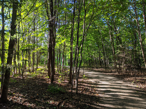 Escarpement Park - Visual
