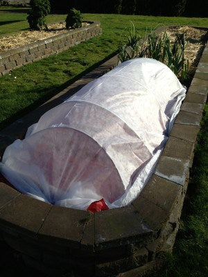 Winter gardening tips and tricks