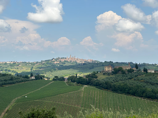 Fattoria Il Piano - Thumbnail