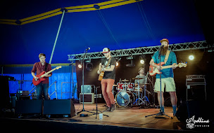 Photo n°12 de Association Pav'Art à Châteaugiron (Festival)