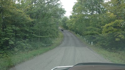 Photos of James H. Klipfel Memorial Nature Sanctuary at Brockway Mountain